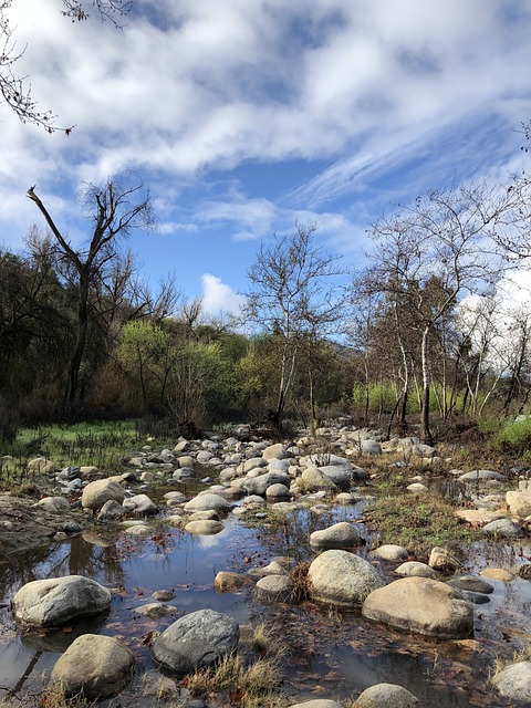 Rutinitas Fleksibel Sehari-hari